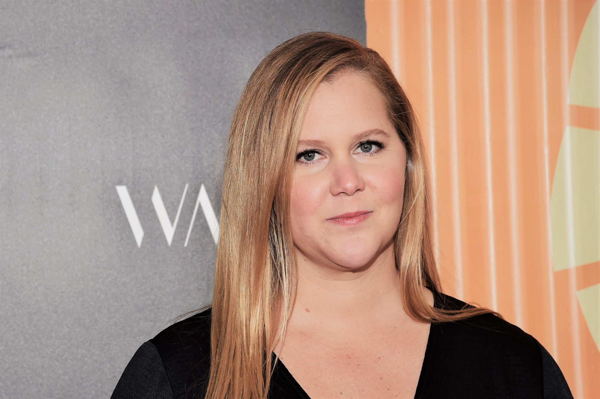 Closeup of Amy Schumer