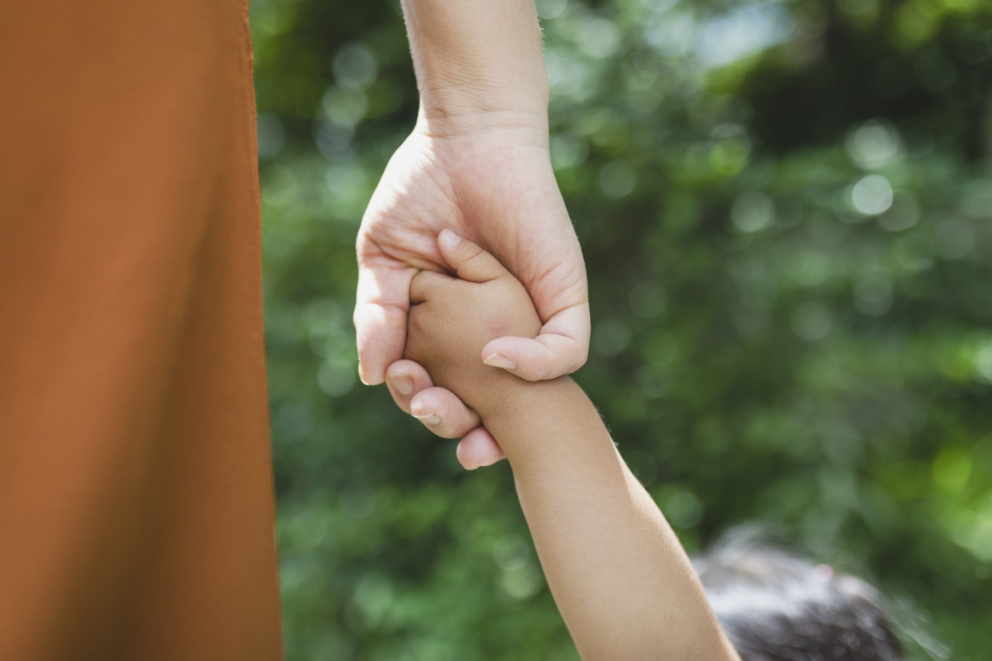 An image of a woman holding a child's hand.