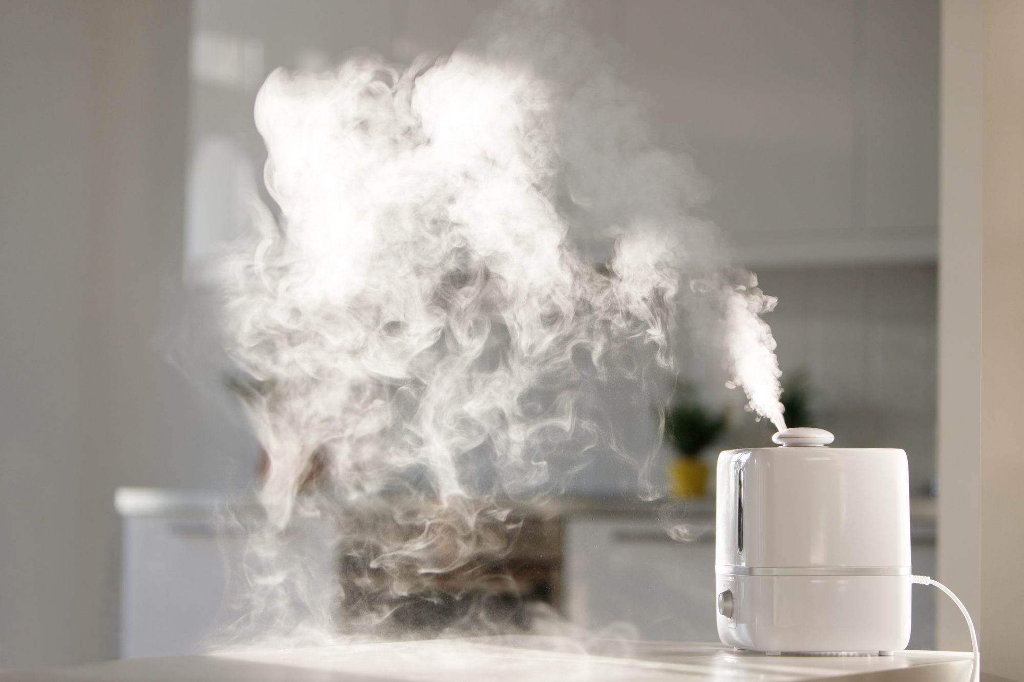 An image of a humidifier in a room.