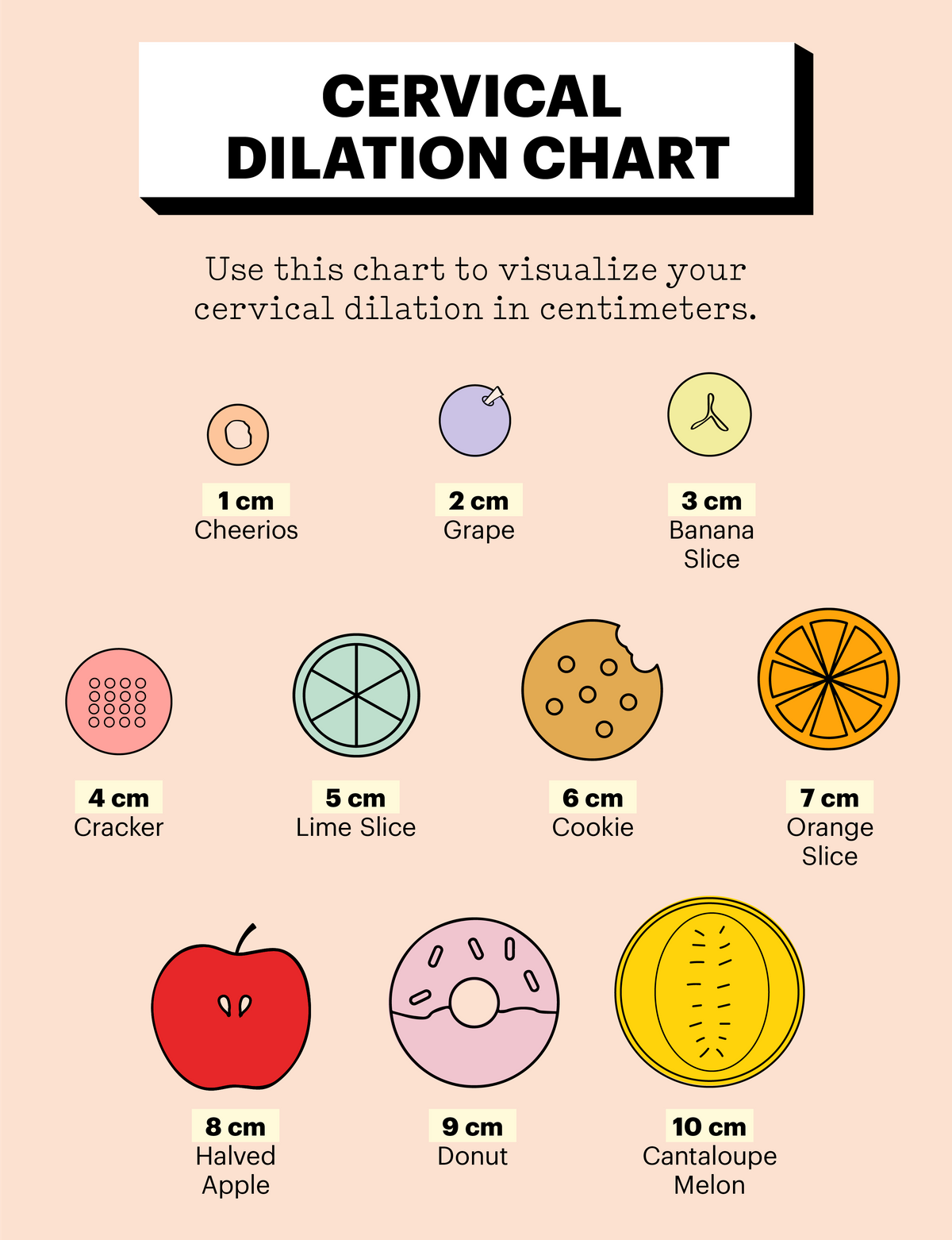 Cervix Dilation Chart with Fruit