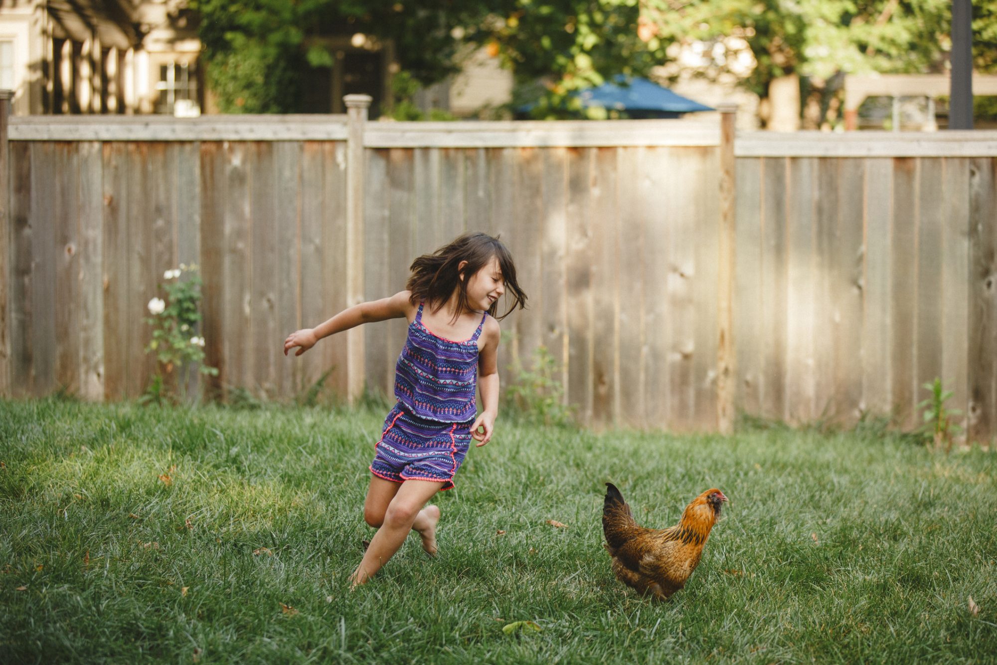 An image of a girl with a chicken in her backyard.